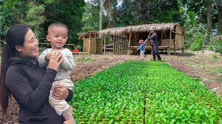 Go With Your Son To The Forest To Harvest Cicada Pupae sell to traders - Vegetable Gardening