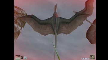 The REAL Morrowind Experience