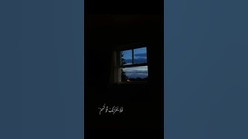 فَلَا يَحْزُنكَ قَوْلُهُمْ🥺💗. القارئ/ محمد هشام. "سورة يـس"