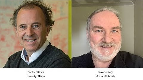 From NISQ to PISQ Presentation Jul 2021