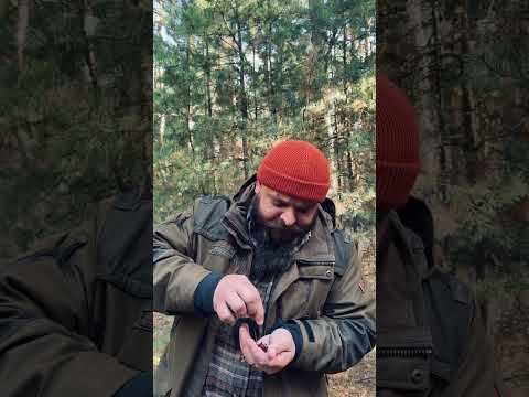 Съедобные личинки комара