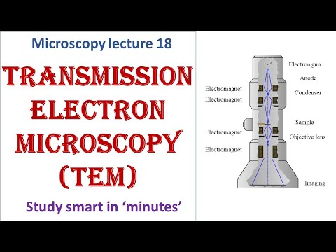 Transmission Electron Microscope| working principle| Advantages, disadvantages|Microscopy lecture 18