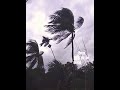 🌬️#nature 🌧️