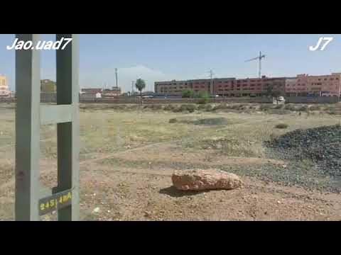 إلى أين تذهب بي يا قطار الحياة