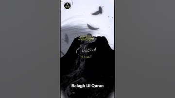 سورة الطارق | Surah At-Tariq (The Night Star) 💫 | Quran Short