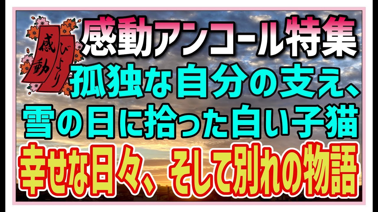 【感動する話】感動アンコール特集【泣ける話】孤独な自分の支え、雪の日に拾った白い子猫。幸せの日々、そして別れの物語・・ #感動物語  #スカッとする話 #ラジオドラマ#朗読