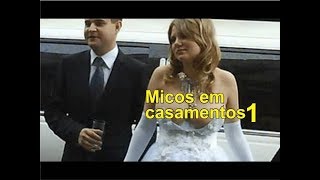 Morra de rir - Top 10 - Micos em Casamentos - Tamarins in Weddings