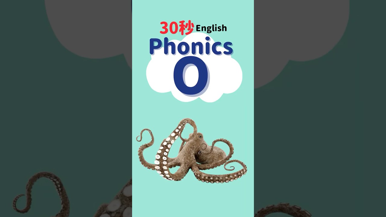 #kidsenglish #簡単英会話 #英会話 #子ども英会話 #こども英会話