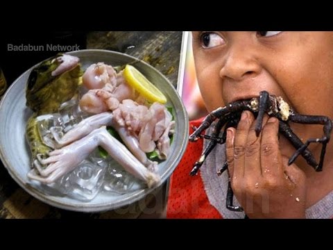 Video: 10 lagartos de mascotas que no necesitan comer comida en vivo