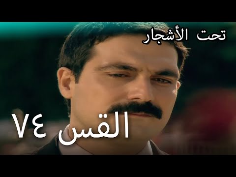 74سنوات الضياع 