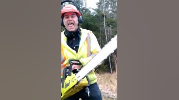 Ported Poulan 2150 34cc Chainsaw With 36" Bar!! #portedchainsaw #chainsaw #poulan #smallengine