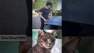 Internet problem🤓 I bet you haven't seen this yet! #cat #memes #dance#trending