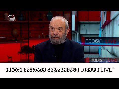 „მართვის სტრატეგიული ინსტიტუტის“ ხელმძღვანელი პეტრე მამრაძე გადაცემაში „იმედი LIVE“