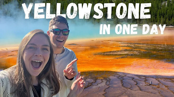 Experience the Wonders of Yellowstone National Park in Just One Day!