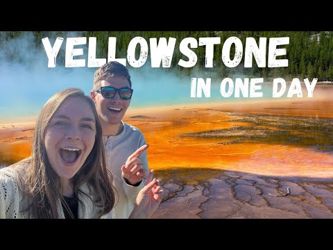 Yellowstone National Park in One Day!