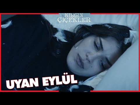 Kırgın Çiçekler Özel Kısa Bölümler | 246