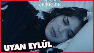 Kırgın Çiçekler Özel Kısa Bölümler | 246