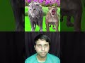 Take your wife for a walk or garden 😱 | Jungle Stories 5G | Hindi Kahani #shorts