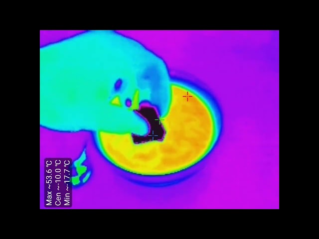 VEVOR Thermal Imaging Camera for Android 5