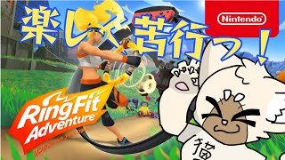 サボりとマクドの誘惑に勝った猫　#リングフィットアドベンチャー