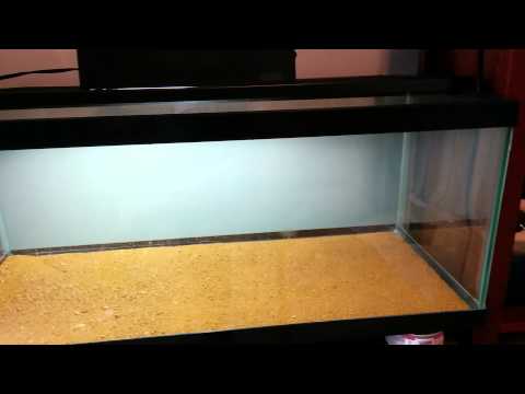 sand mat bearded dragon