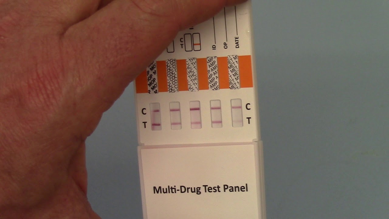 How To Read A Standard Workplace Drug Test Result Part 2 YouTube How To Read A Standard Workplace Drug Test Result Part 2 YouTube