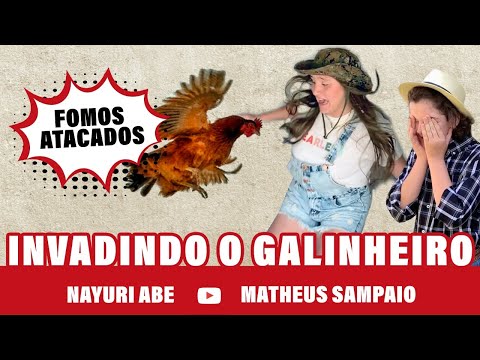 DESAFIO: PEGANDO OVOS NO GALINHEIRO 😱