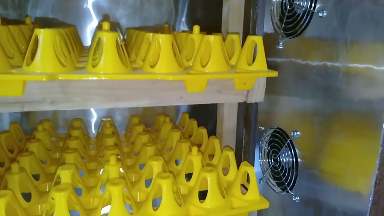 egg incubator blower system Mini fan DC12V/ Automatic rack | part 1