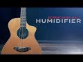 Зволожувач-супресор для акустичної гітари PLANET WAVES PW-ASSH-01 Screeching Halt Humidifier