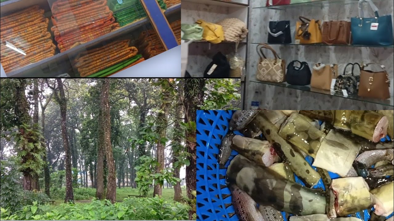 SAL BAGAN BERAI HWIBAI 🥳// NA BAMI JWNG GWTAO // BWRWI MWNBAOGWN 🤔//@Sumiraj1176 