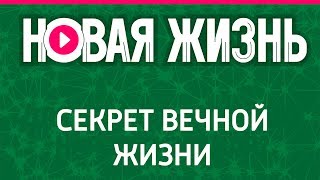 Секрет вечной жизни