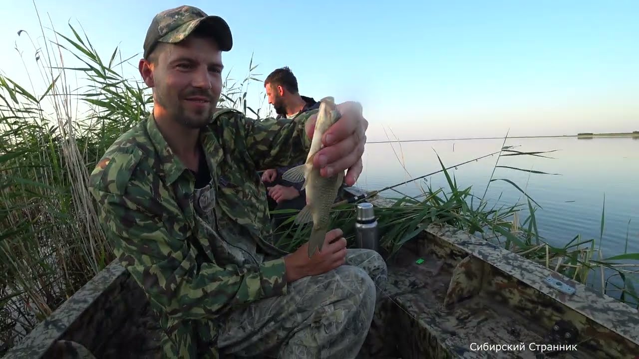 Поехали за окунем, а наловили золотого  карася.