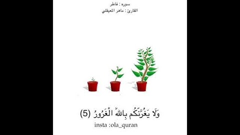 💗قرآن كريم 💗القارئ ماهر المعيقلي #حالات واتس اب دينية