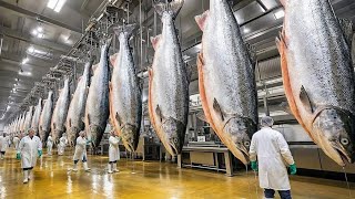 Inside the Giant Salmon Farms: How Millions of Fish Are Raised Every Day