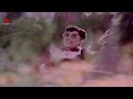 Gootikocchina Chilakaa Video Song || Sriranganeetulu Movie || ANR,Sridevi Mp3 Song