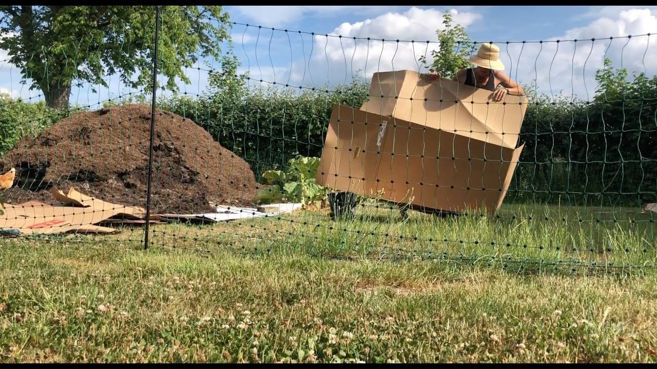 Starter en No Dig køkkenhave - Juni - Det nye hus