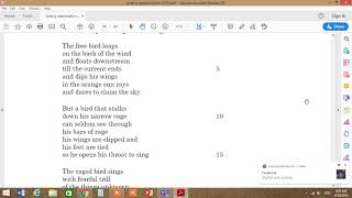 11caged bird YouTube