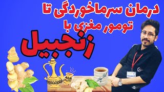 فواید زنجبیل؛ از درمان سرماخوردگی تا تأثیر بر تومور مغزی!