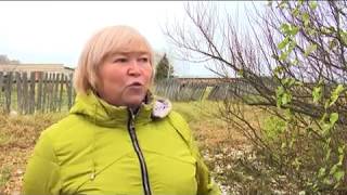 Дэбесъёс ӝожтӥсько: Байгурезь пумен куашка