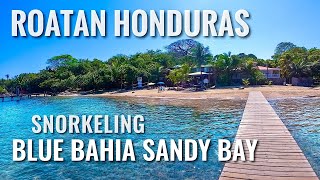 Snorkeling ROATAN, HONDURAS Sandy Bay Near Blue Bahia [4K]