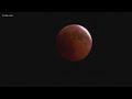 What are our chances of seeing the Super Wolf Blood Moon?