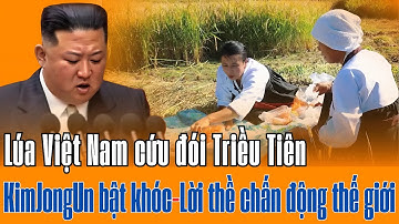 Lúa Việt Nam cứu đói Triều Tiên - Kim Jong Un bật khóc cảm ơn người Việt! Tri Thức 247