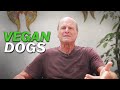 Feeding your dogs a vegan diet