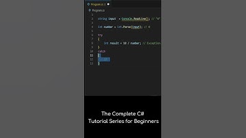 Try Catch | C# Complete Course