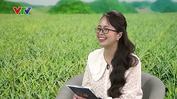 Xây Dựng Vùng Nguyên Liệu Trồng Dứa Xuất Khẩu