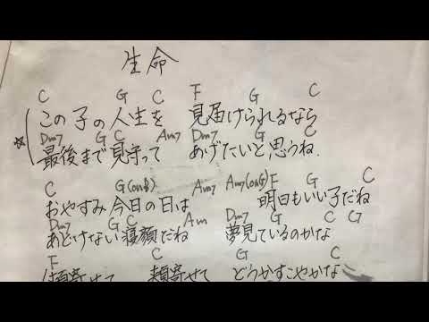 生命いのち♬ 松山千春　弾き語りcover 鉄弦　クレセントムーン00028タイプ2000年製