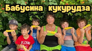 Бабусина кукурудза/Ляльки з кукурудзи/Історія про діда Кирила