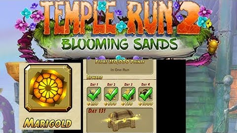 Daily Challenge Streak Day 13 | Temple run 2