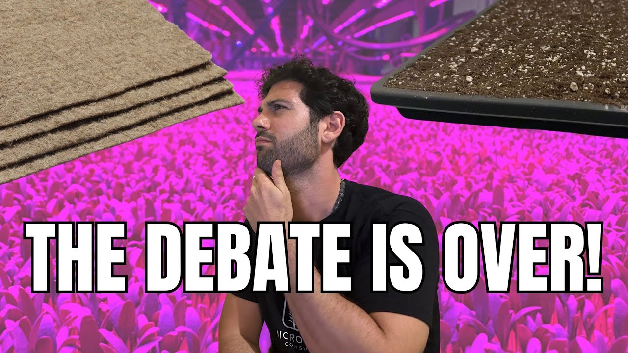 Почва против конопляных матов: раскрываем правду о микрозелени!