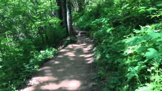 The Anna Camangels Rest